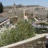 Иерусалим. Храмовая Гора. Вид с горы Сион на гору Цофим (гора Наблюдателей, позади Храмовой горы)