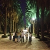 Поездка в Израиль 2014: Прогулка по ночному Ришону в Йом Киппур