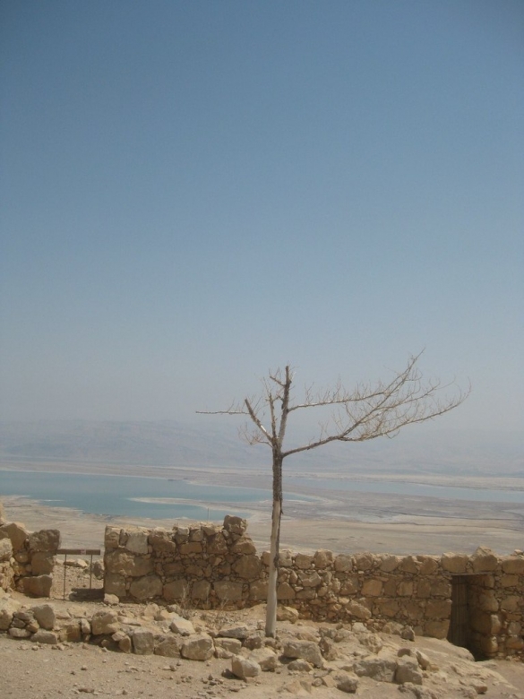 Крепость Массада. Вид на Мертвое Море.